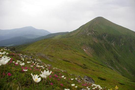 Табір в Карпатах. Сходження на Говерлу