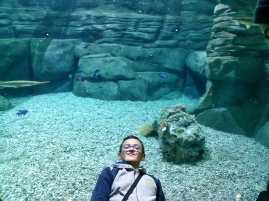 Акваріум в зоопарку Цинциннаті Акваріум в зоопарку Цинциннаті